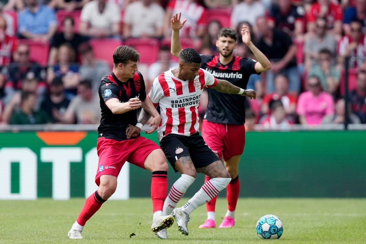 的天然核心 的天然核心